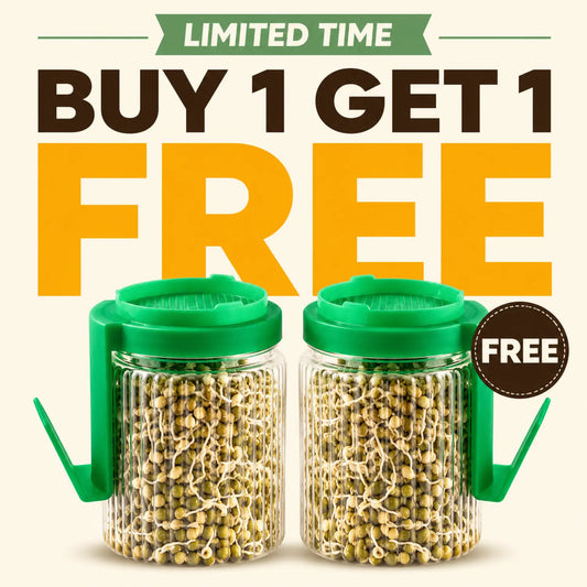 Sprout Maker Jar with Drain Lid & Stand - 720ml