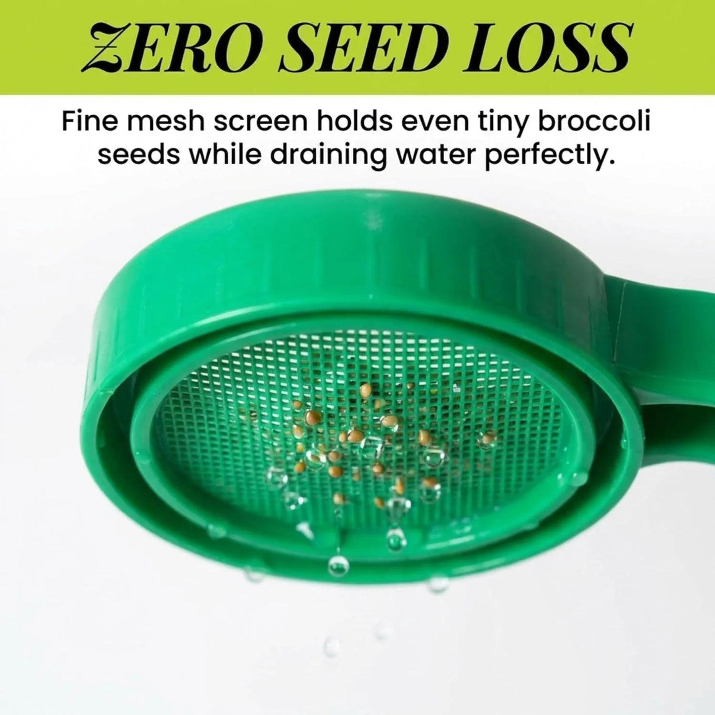 Sprout Maker Jar with Drain Lid & Stand