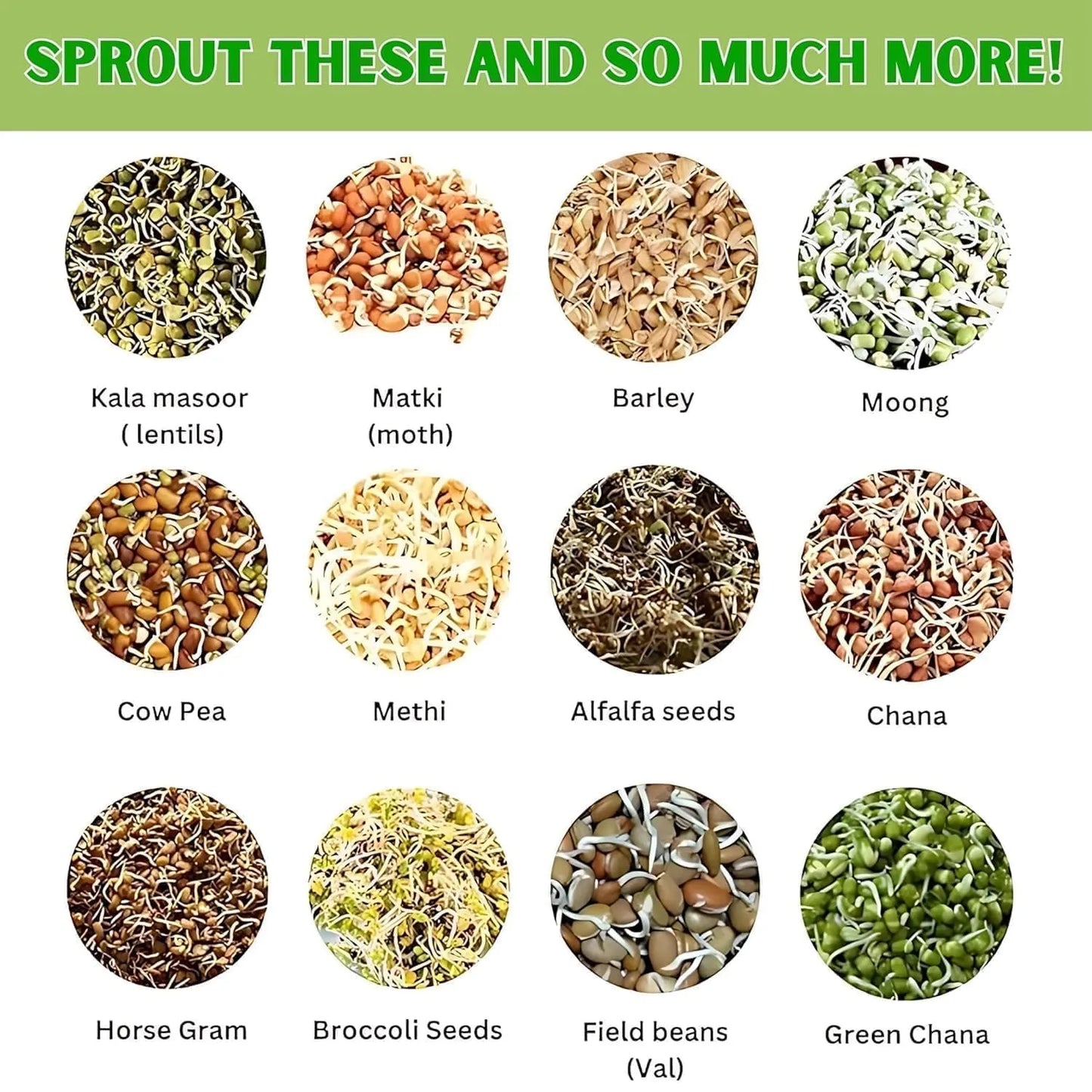 Sprout Maker Jar with Drain Lid & Stand