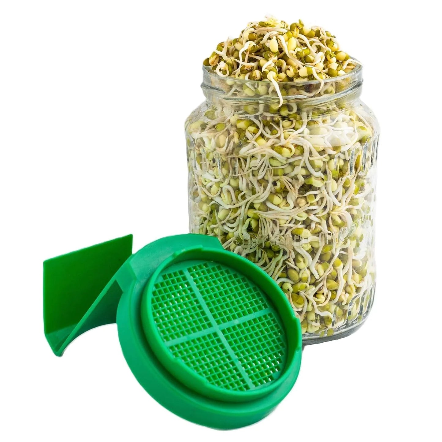 Sprout Maker Jar with Drain Lid & Stand